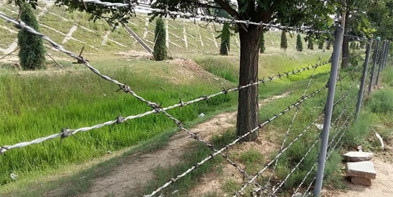 刺繩護(hù)欄網(wǎng)的攔阻應(yīng)用 刺繩護(hù)欄網(wǎng)的攔阻應(yīng)用