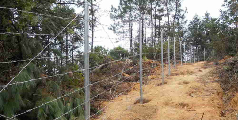 刺繩護(hù)欄網(wǎng)的防護(hù)應(yīng)用 刺繩護(hù)欄網(wǎng)的防護(hù)應(yīng)用