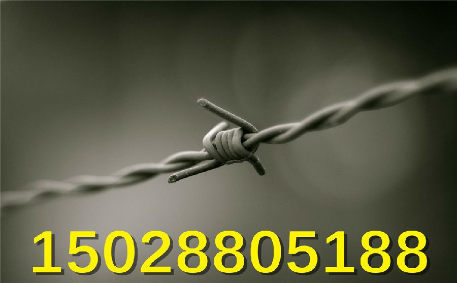 不銹鋼刺繩價(jià)格 不銹鋼刺繩價(jià)格