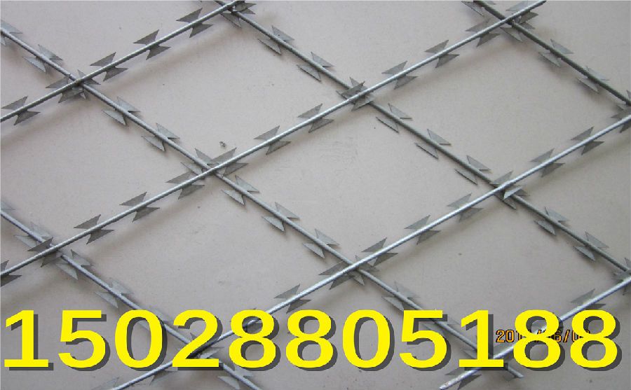 鍍鋅刺繩價格 鍍鋅刺繩價格