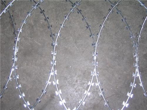 u=3736998172,1964780886&fm=27&gp=0 u=3736998172,1964780886&fm=27&gp=0