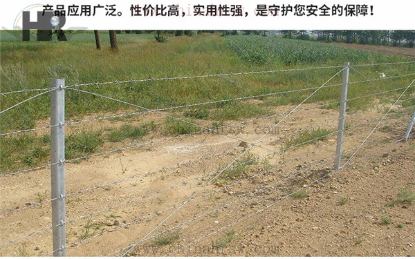 帶刺鐵絲網(wǎng) 帶刺鐵絲網(wǎng)