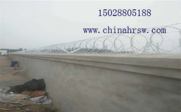 圍墻防護(hù)網(wǎng) 圍墻防護(hù)網(wǎng)