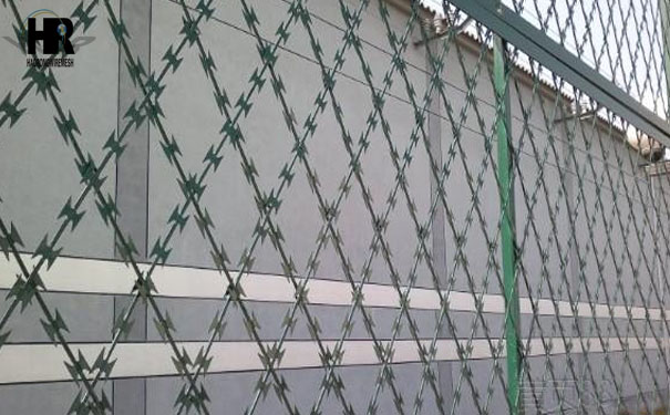 刺繩防護(hù)網(wǎng) 刺繩防護(hù)網(wǎng)