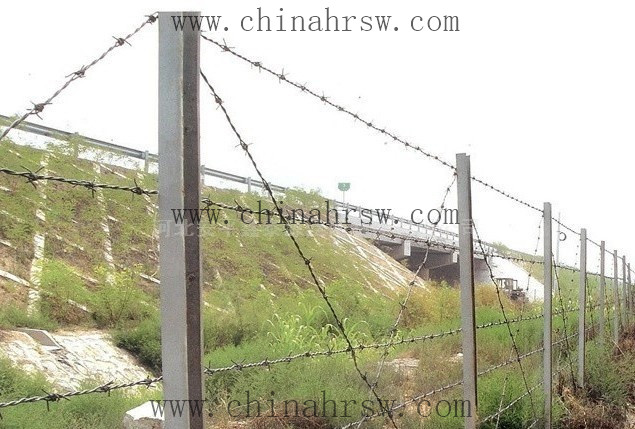 刺繩防護(hù)網(wǎng) 刺繩防護(hù)網(wǎng)