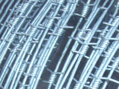 單股刺繩 單股刺繩